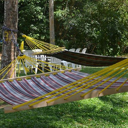 Jungle Beach Hostel อูนาวาตูนา ภายนอก รูปภาพ