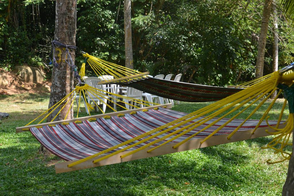 Jungle Beach Hostel อูนาวาตูนา ภายนอก รูปภาพ