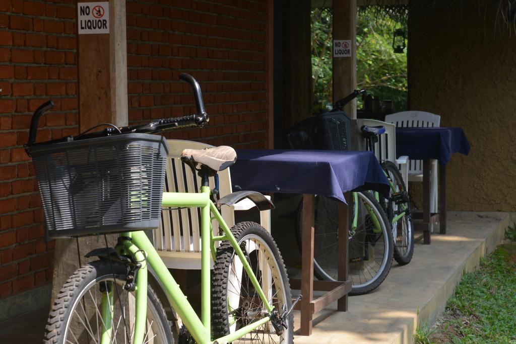 Jungle Beach Hostel อูนาวาตูนา ภายนอก รูปภาพ